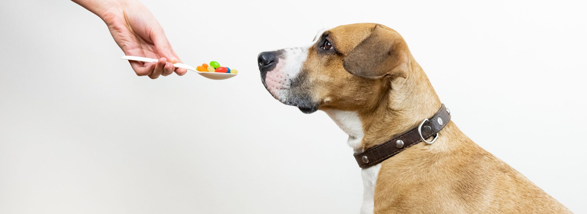 Κτηνιατρικά φαρμακευτικά σκευάσματα για χρήση σε ζώα