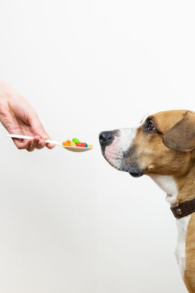 Κτηνιατρικά φαρμακευτικά σκευάσματα για χρήση σε ζώα