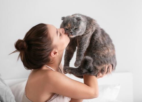 Ιδιοκτήτρια κρατάει γάτα – φροντίδα και αγάπη για το κατοικίδιο